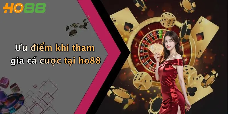 Ưu điểm khi tham gia cá cược tại ho88